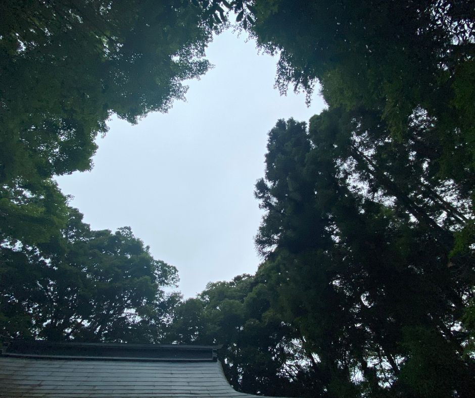 篠山波々伯部神社屋根